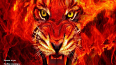 Download CS 1.6 Fire
